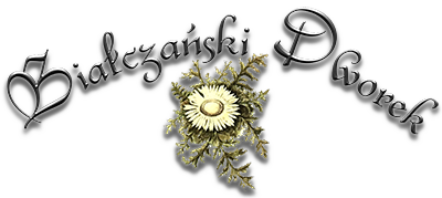 Logo w stopce - Białczański Dworek - noclegi Białka Tatrzańska