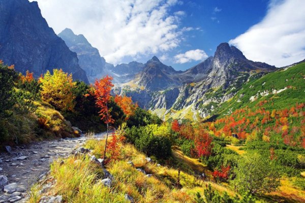 Zdjęcie - Jesień - Białczański Dworek - noclegi Białka Tatrzańska